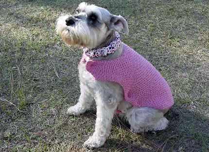 One Piece Dog Sweater Fancy Pink Wrap.